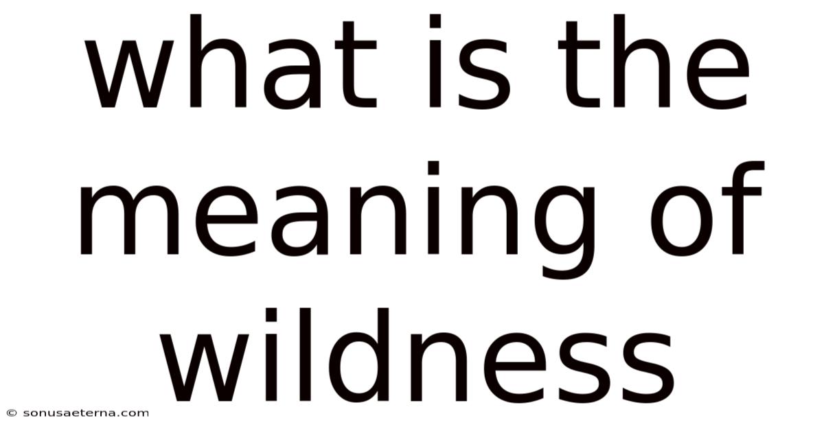 What Is The Meaning Of Wildness