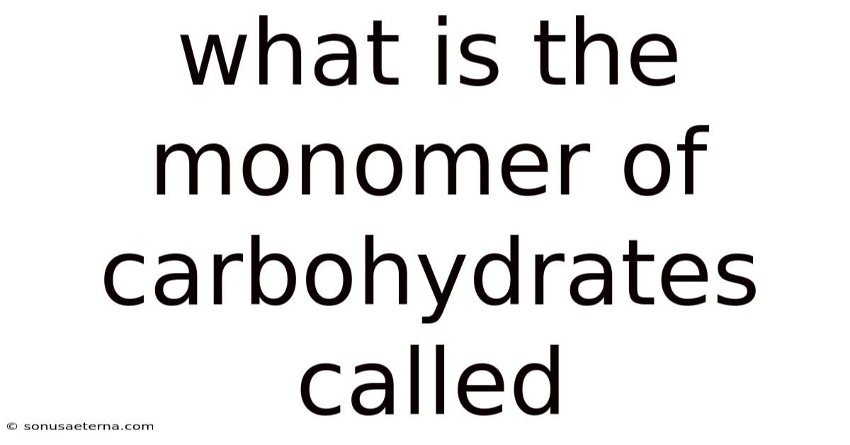 What Is The Monomer Of Carbohydrates Called