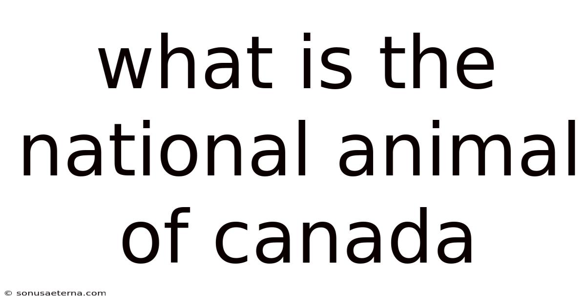 What Is The National Animal Of Canada