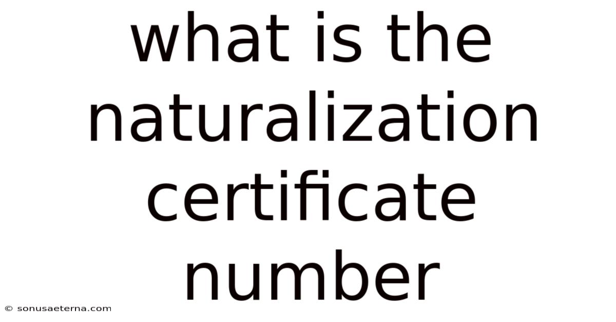 What Is The Naturalization Certificate Number