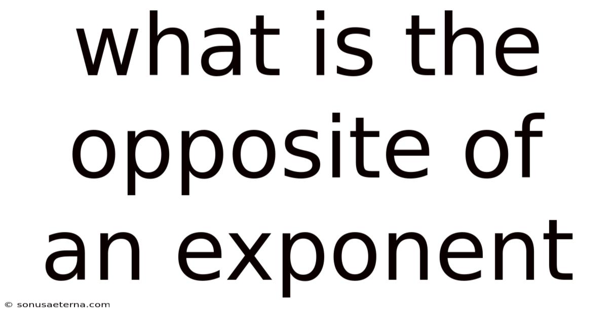 What Is The Opposite Of An Exponent