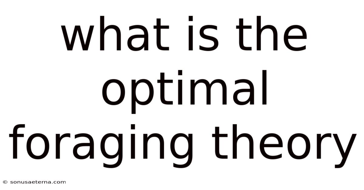 What Is The Optimal Foraging Theory