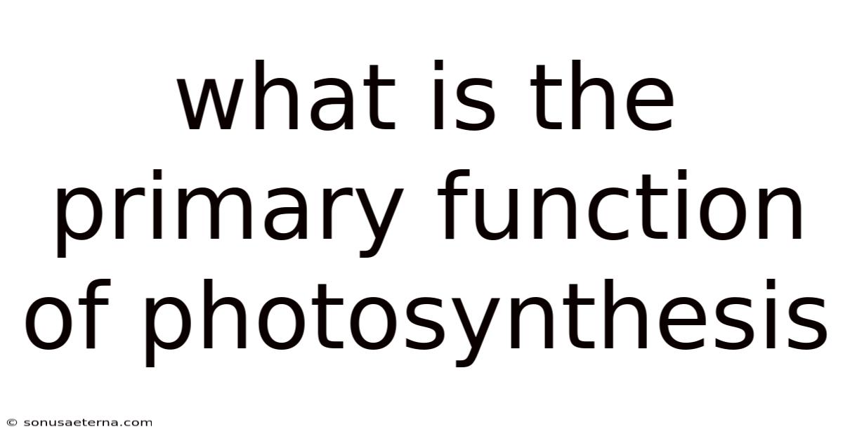 What Is The Primary Function Of Photosynthesis
