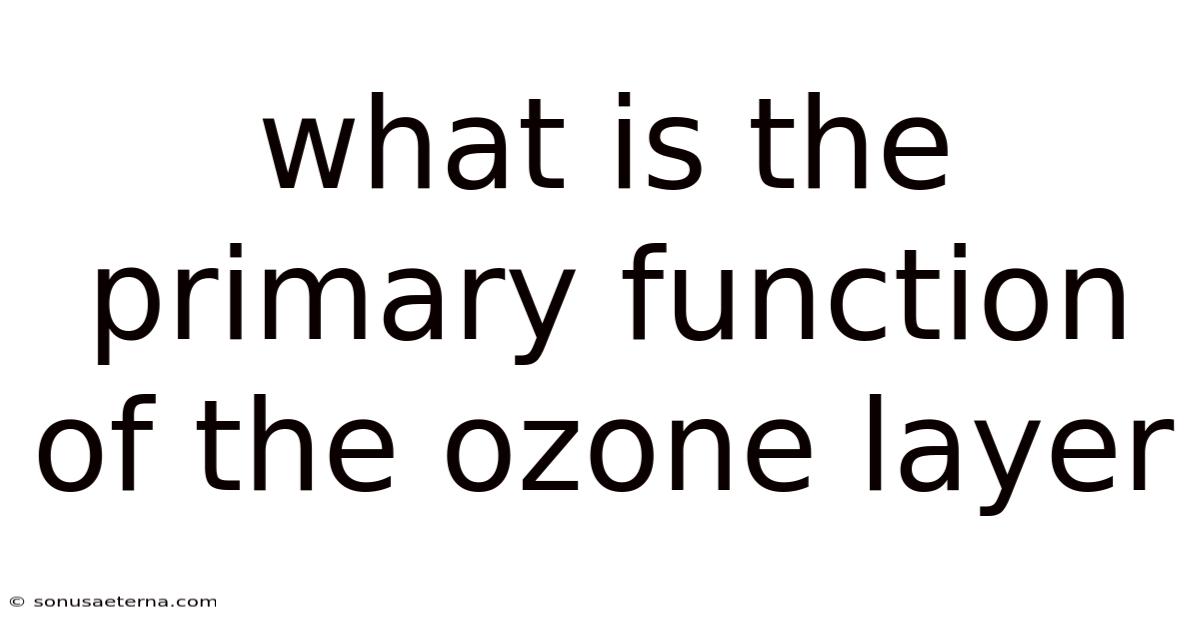 What Is The Primary Function Of The Ozone Layer