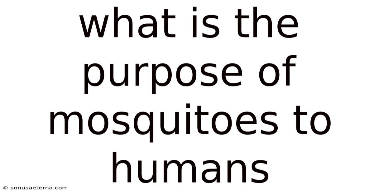What Is The Purpose Of Mosquitoes To Humans