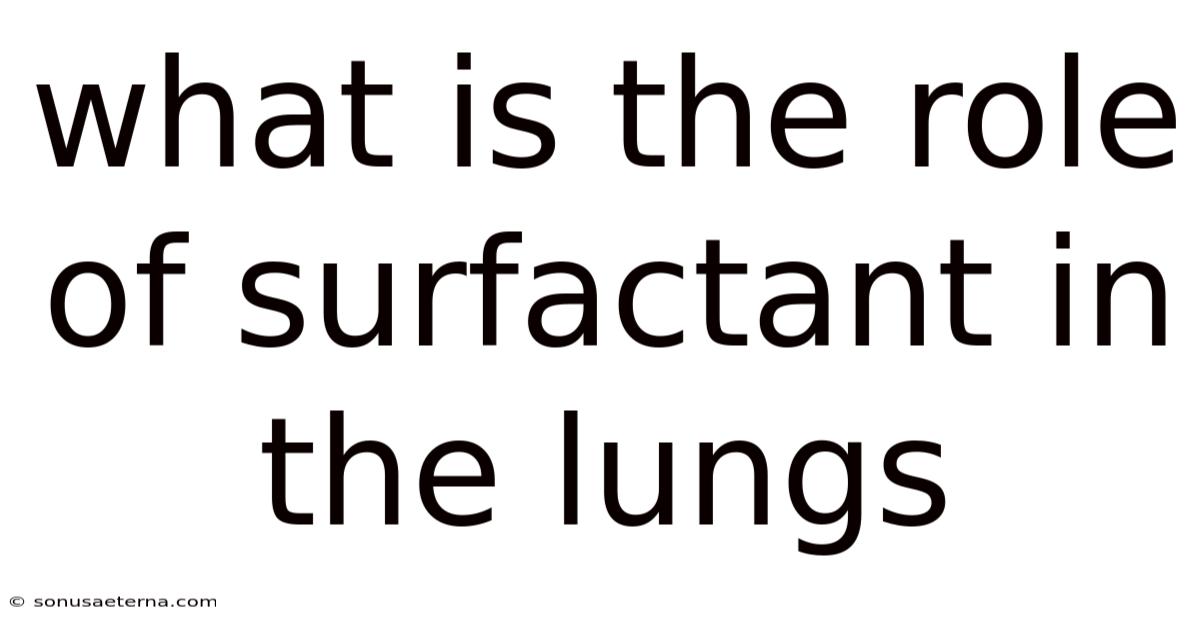 What Is The Role Of Surfactant In The Lungs