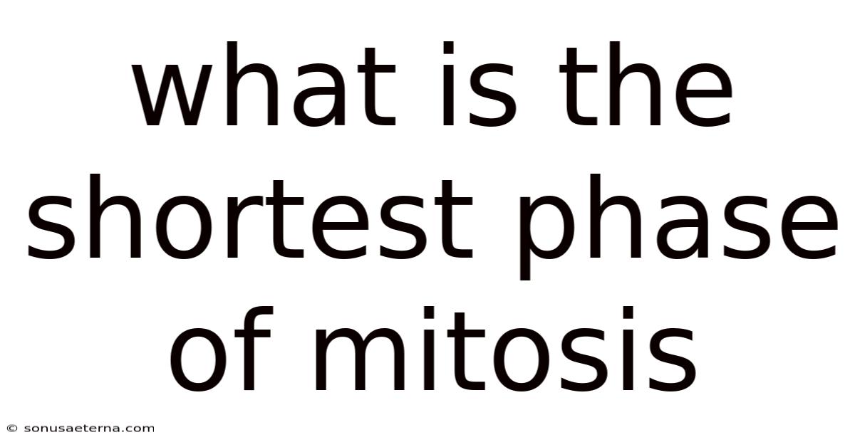 What Is The Shortest Phase Of Mitosis