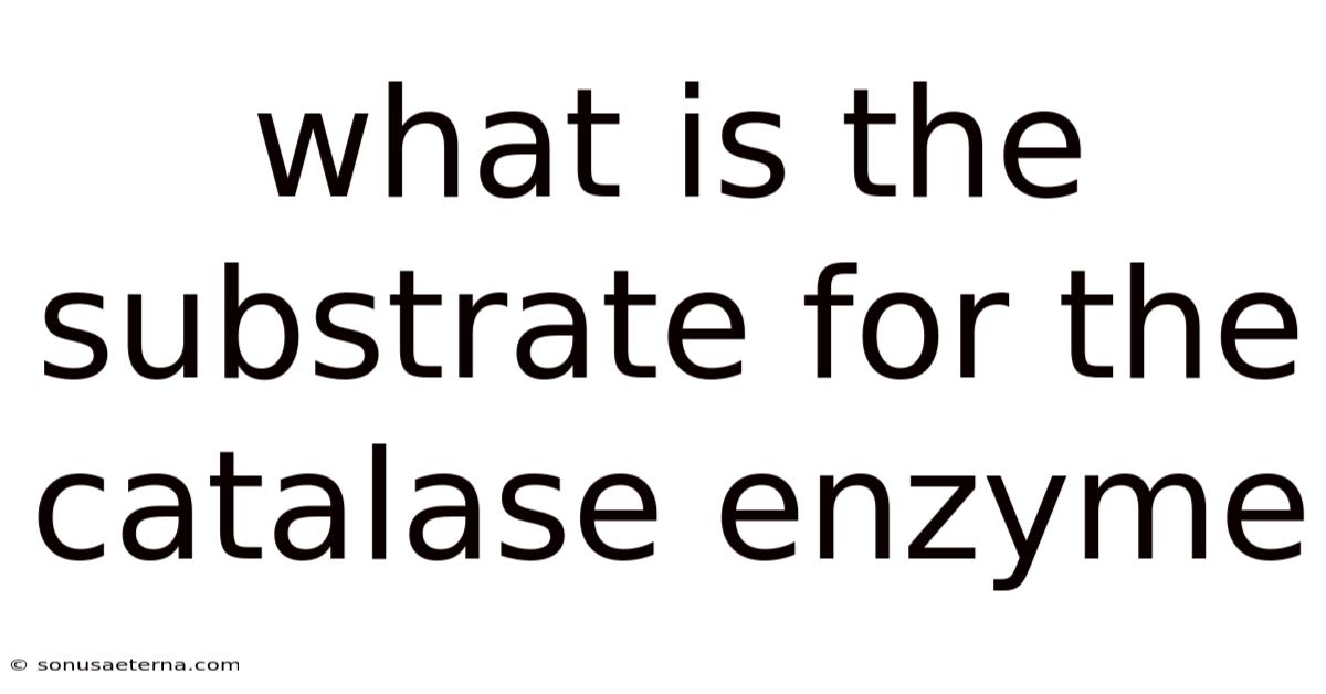 What Is The Substrate For The Catalase Enzyme