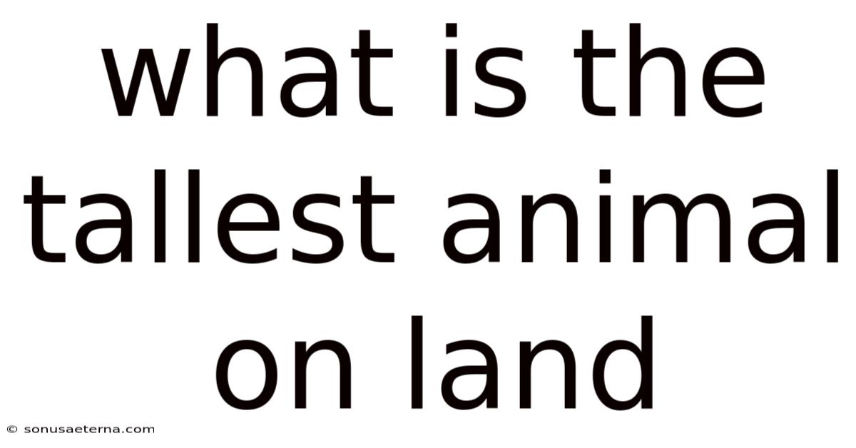 What Is The Tallest Animal On Land