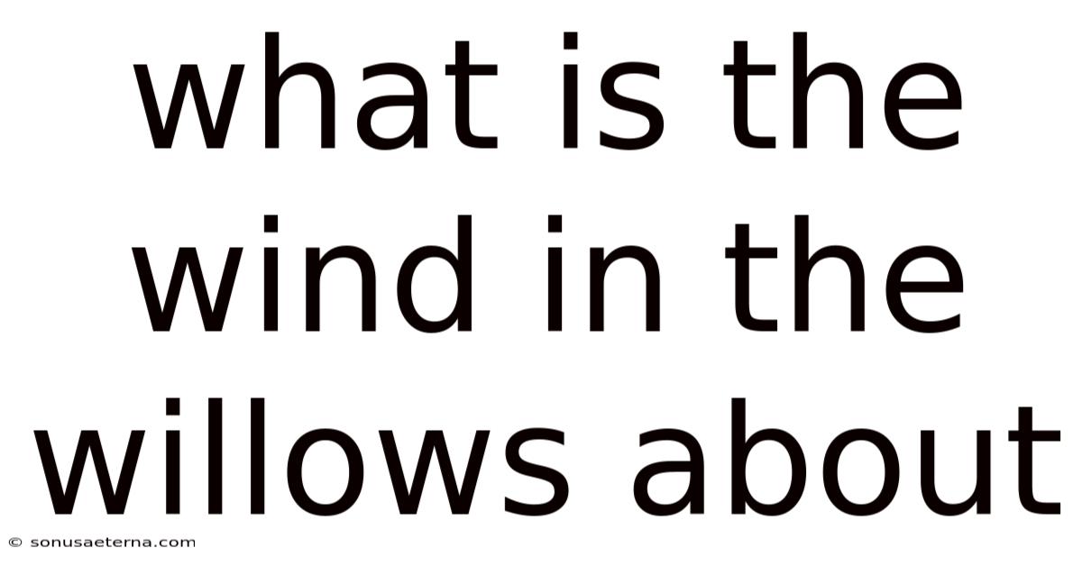 What Is The Wind In The Willows About