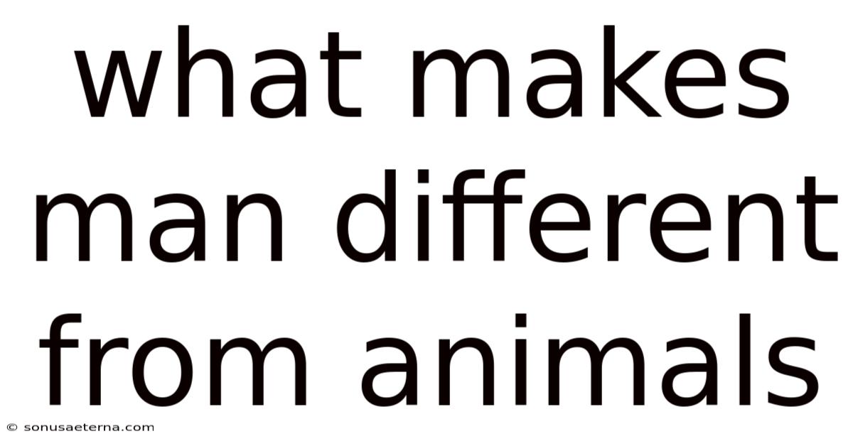 What Makes Man Different From Animals