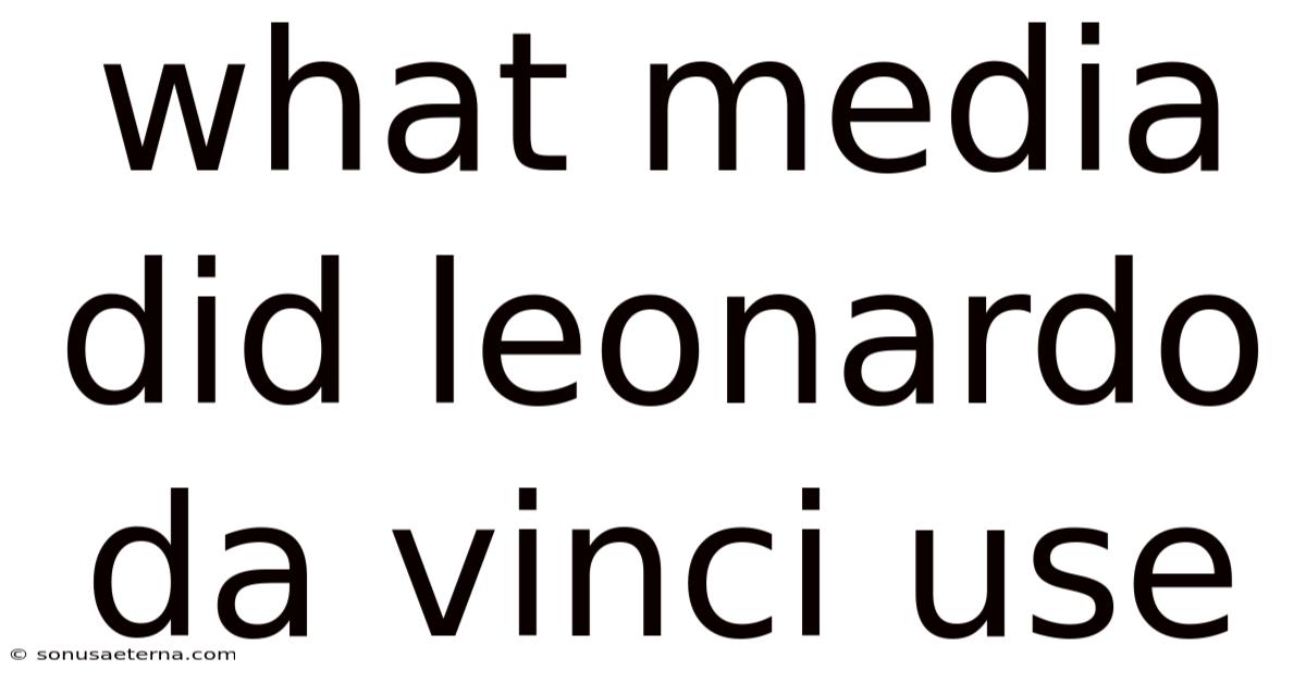What Media Did Leonardo Da Vinci Use