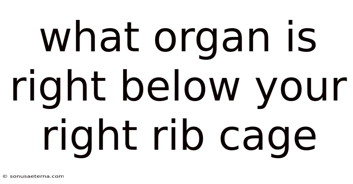 What Organ Is Right Below Your Right Rib Cage