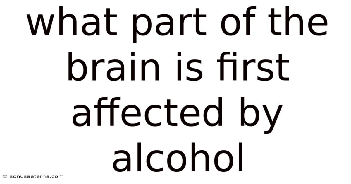 What Part Of The Brain Is First Affected By Alcohol