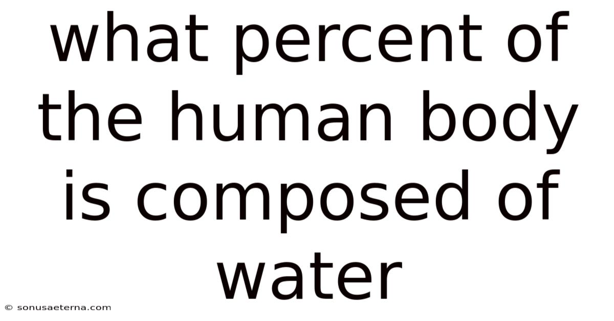 What Percent Of The Human Body Is Composed Of Water