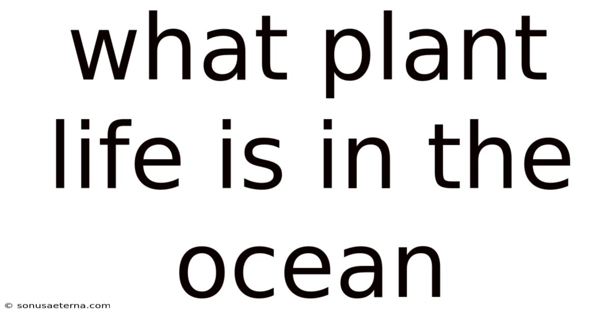 What Plant Life Is In The Ocean