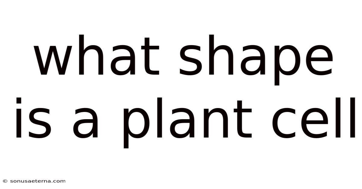What Shape Is A Plant Cell