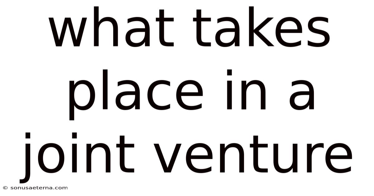 What Takes Place In A Joint Venture