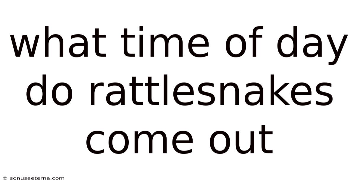 What Time Of Day Do Rattlesnakes Come Out