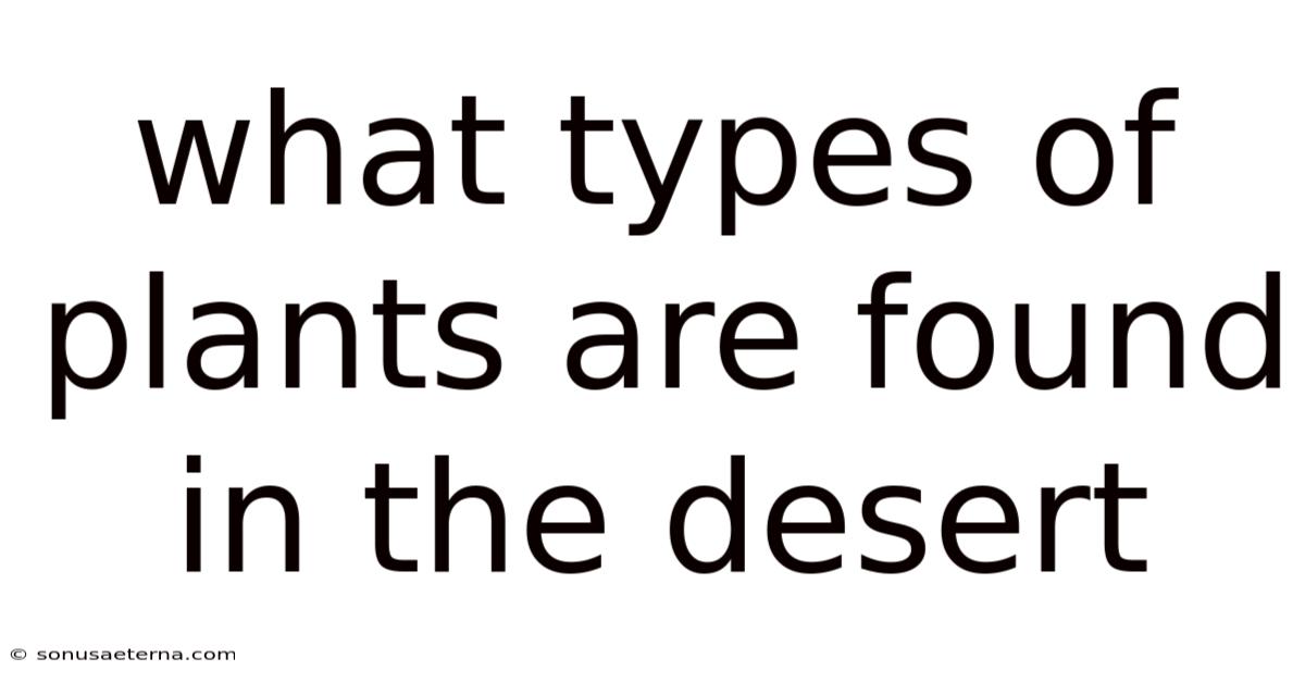 What Types Of Plants Are Found In The Desert