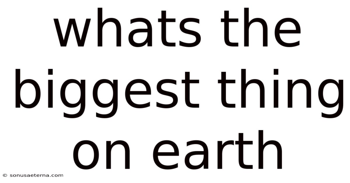 Whats The Biggest Thing On Earth