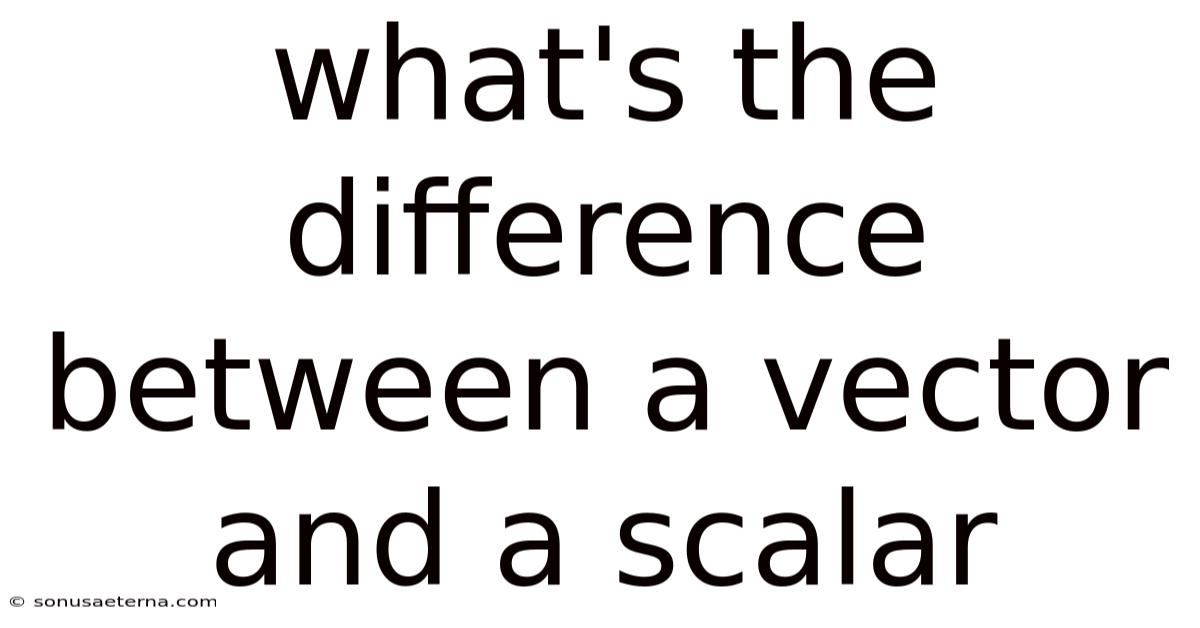 What's The Difference Between A Vector And A Scalar