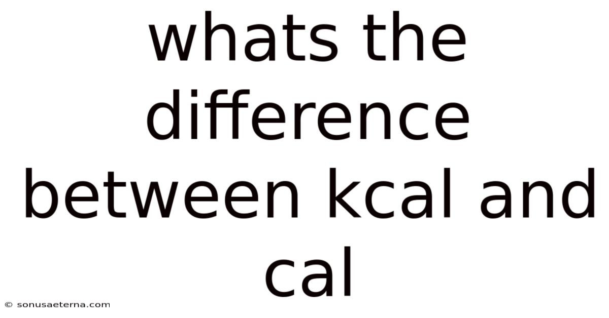 Whats The Difference Between Kcal And Cal