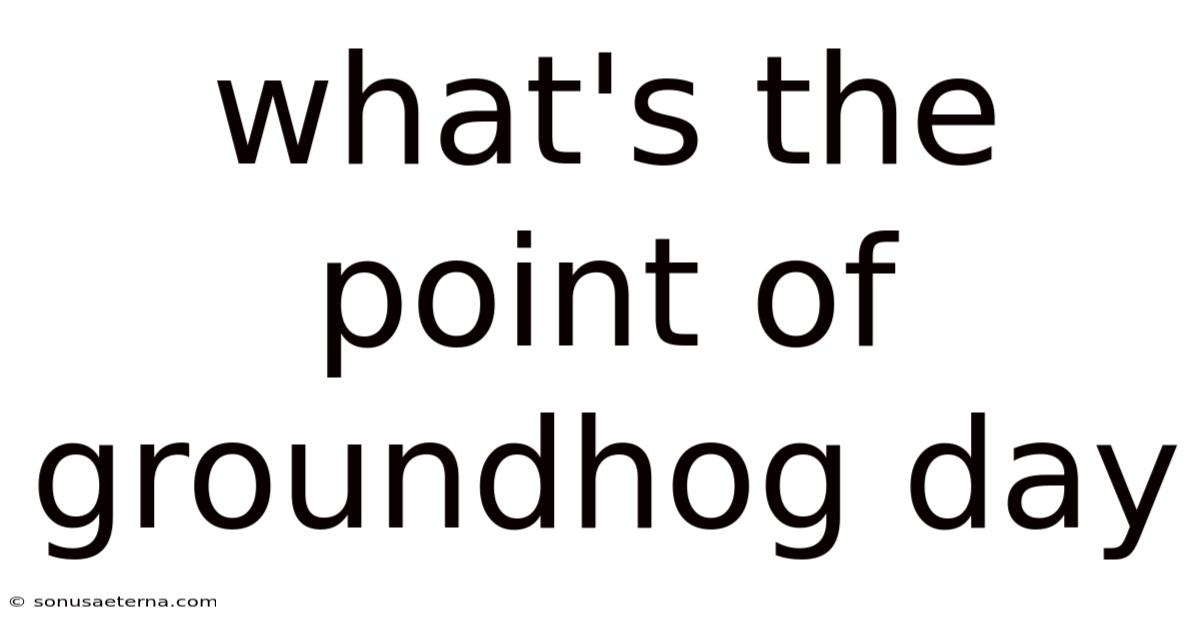 What's The Point Of Groundhog Day