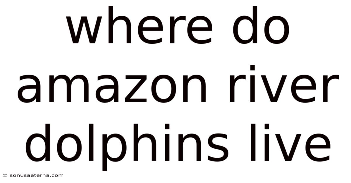 Where Do Amazon River Dolphins Live