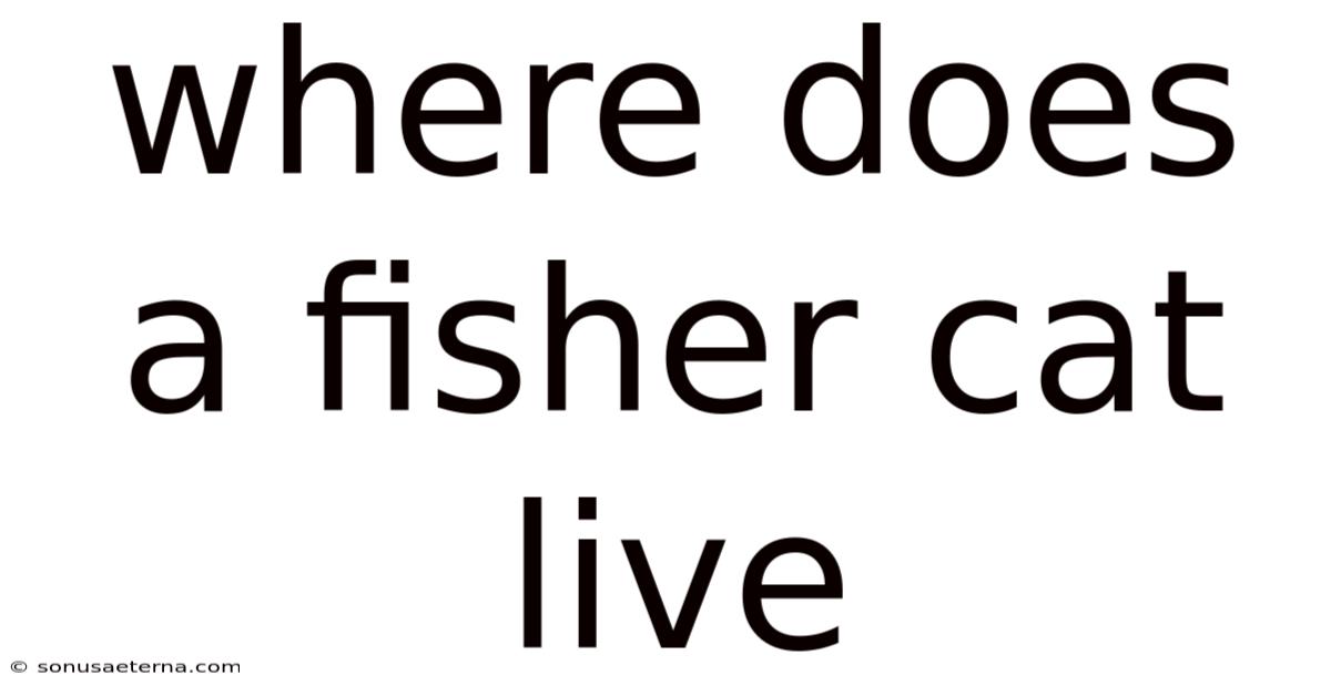 Where Does A Fisher Cat Live