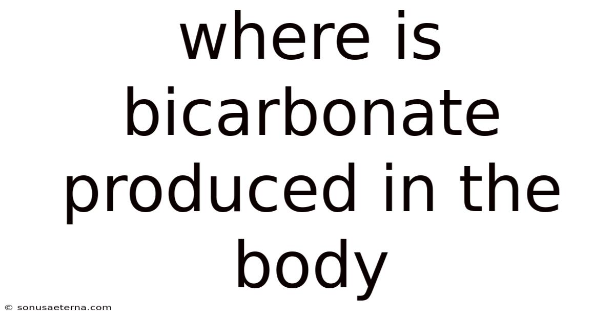 Where Is Bicarbonate Produced In The Body