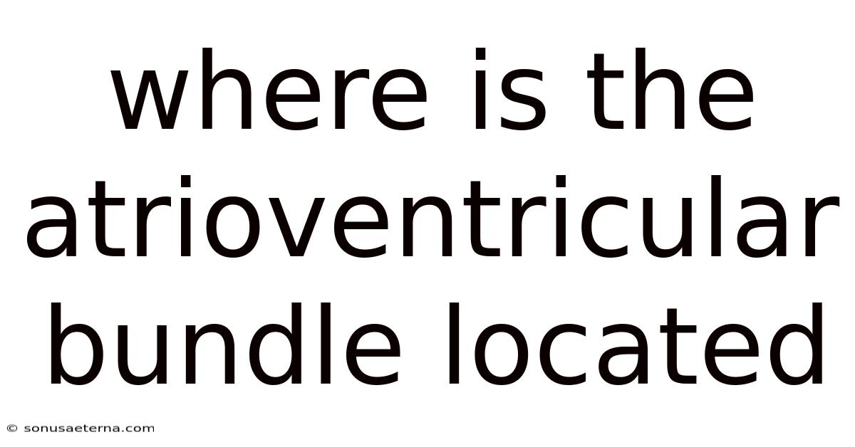 Where Is The Atrioventricular Bundle Located