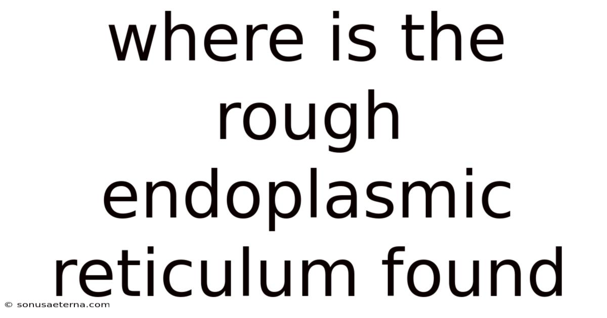 Where Is The Rough Endoplasmic Reticulum Found