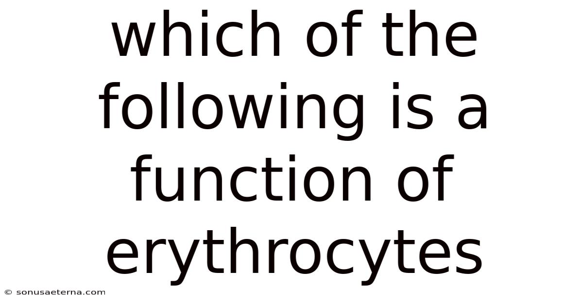 Which Of The Following Is A Function Of Erythrocytes