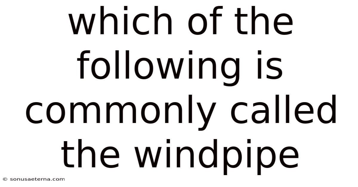 Which Of The Following Is Commonly Called The Windpipe