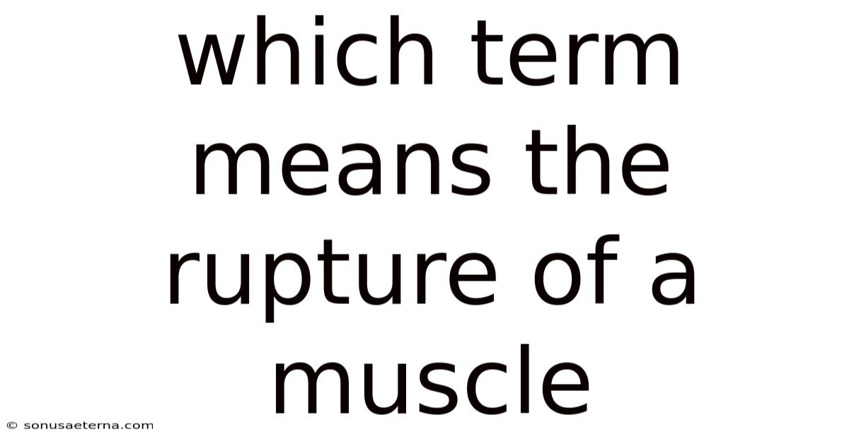 Which Term Means The Rupture Of A Muscle