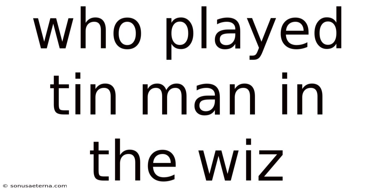 Who Played Tin Man In The Wiz