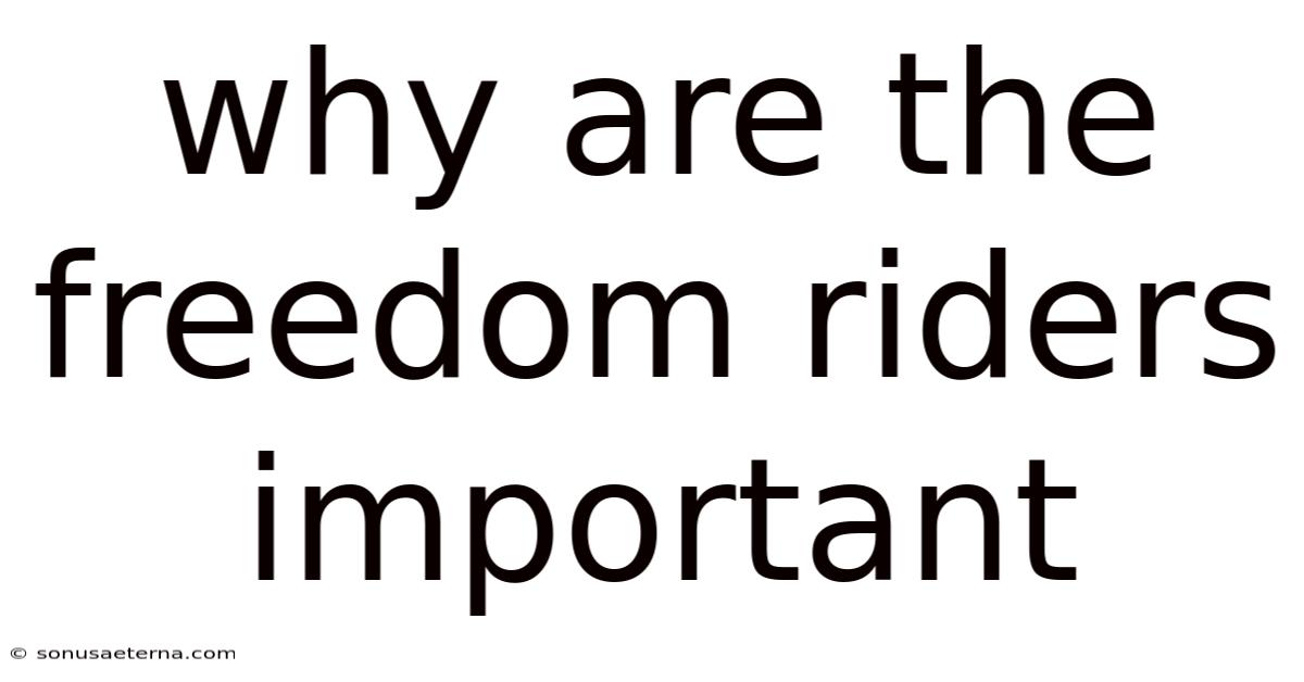 Why Are The Freedom Riders Important