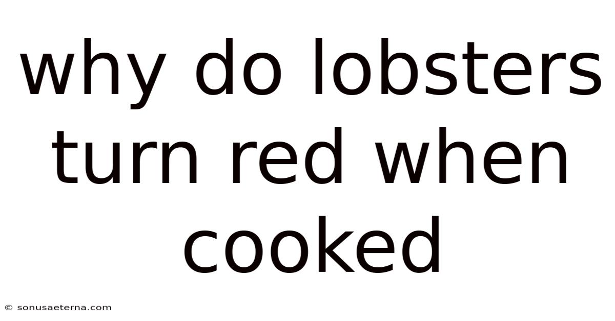 Why Do Lobsters Turn Red When Cooked
