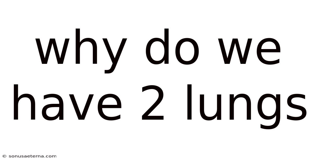 Why Do We Have 2 Lungs