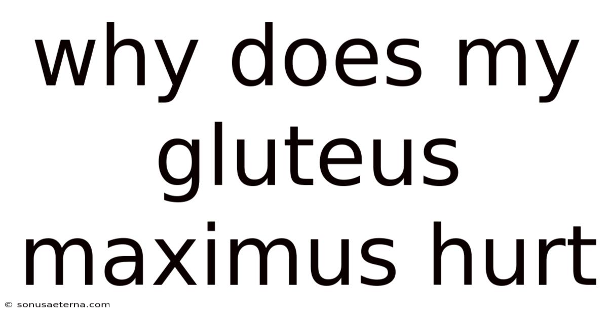 Why Does My Gluteus Maximus Hurt