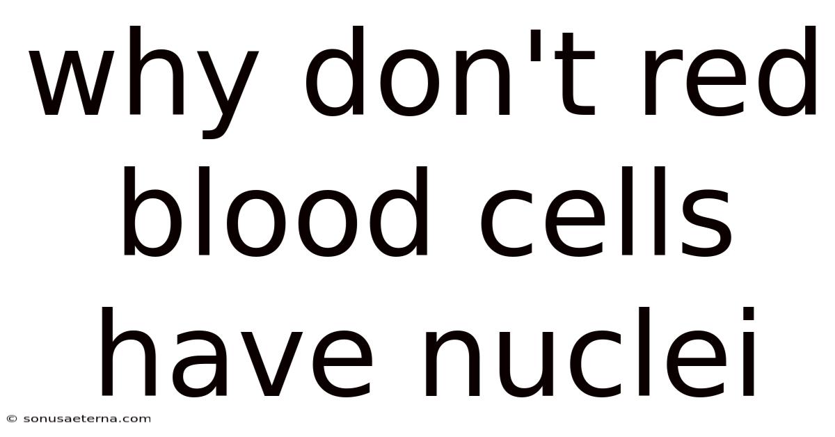 Why Don't Red Blood Cells Have Nuclei