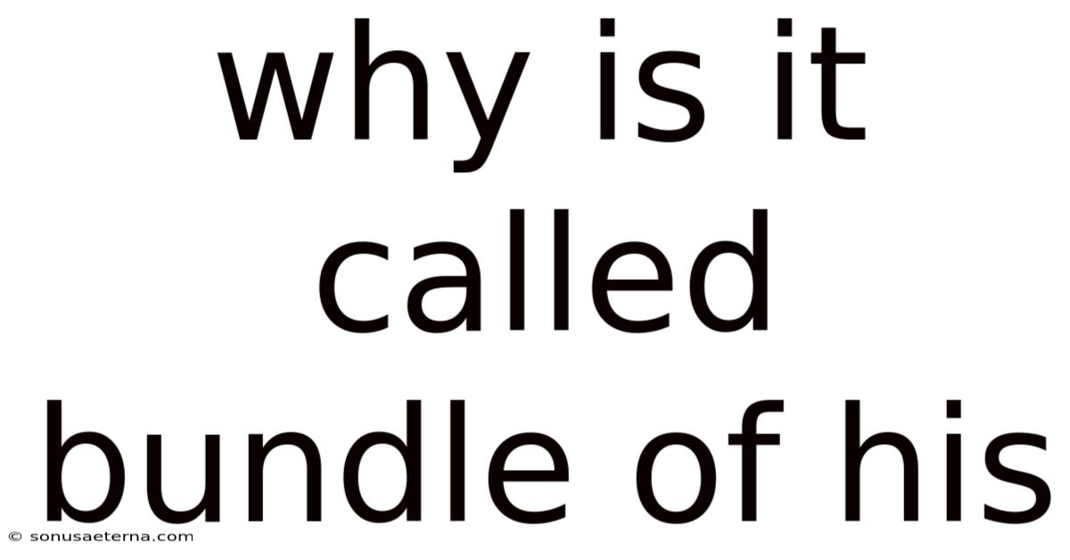 Why Is It Called Bundle Of His