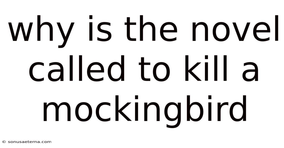 Why Is The Novel Called To Kill A Mockingbird