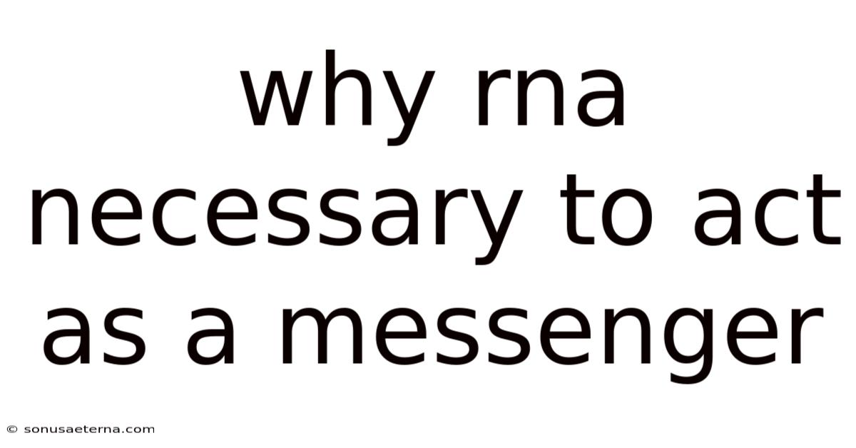 Why Rna Necessary To Act As A Messenger