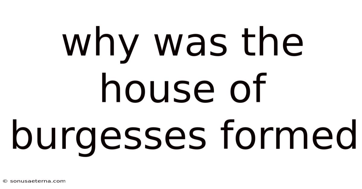 Why Was The House Of Burgesses Formed
