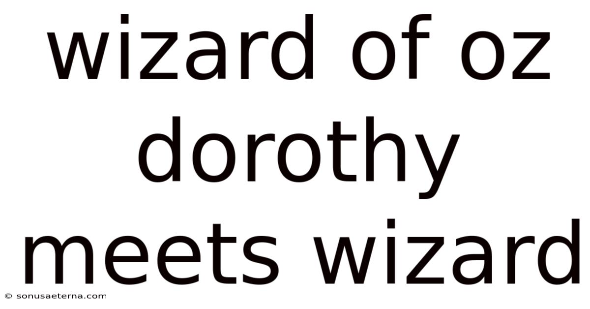 Wizard Of Oz Dorothy Meets Wizard