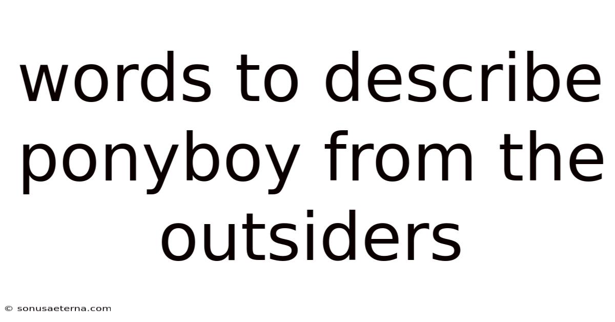 Words To Describe Ponyboy From The Outsiders