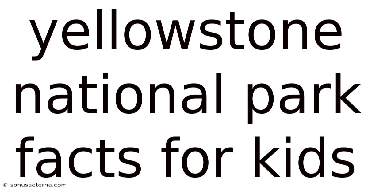 Yellowstone National Park Facts For Kids